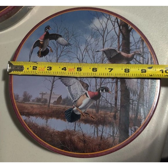 Vtg Dave Maass Duck 9.75" Round Tin Lake City Minnesota Wild Wings Artwork Rare - Picture 14 of 16